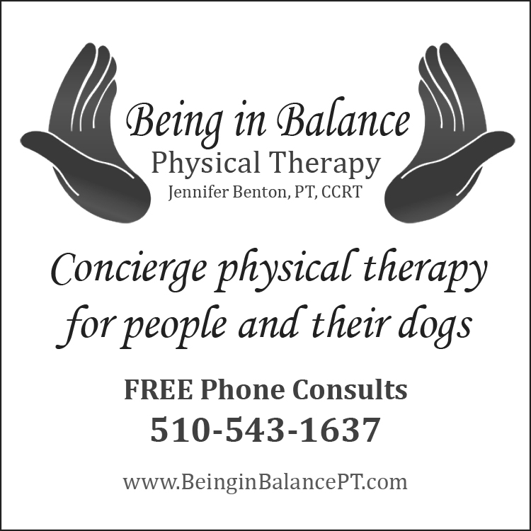 Being In Balance PT